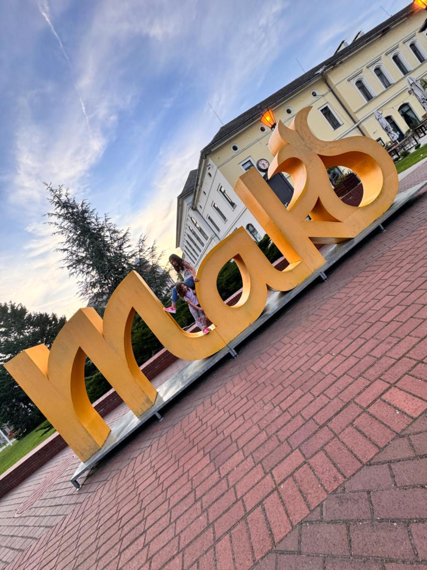 Pensiunea Schwartzy Hotel Makó Kültér fotó
