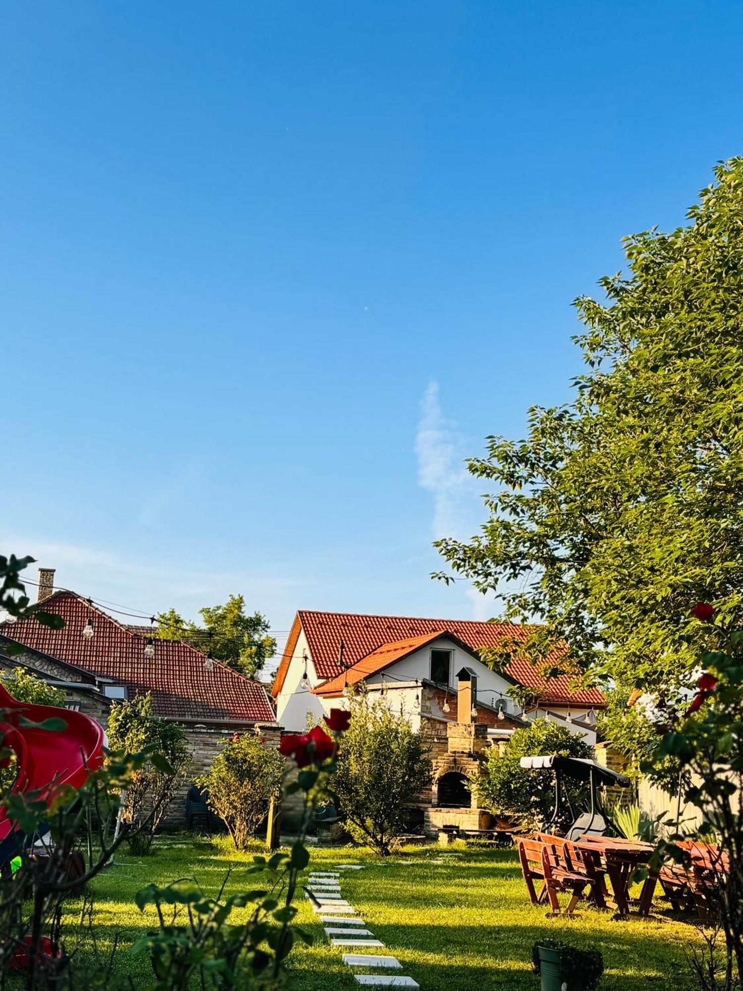 Pensiunea Schwartzy Hotel Makó Kültér fotó