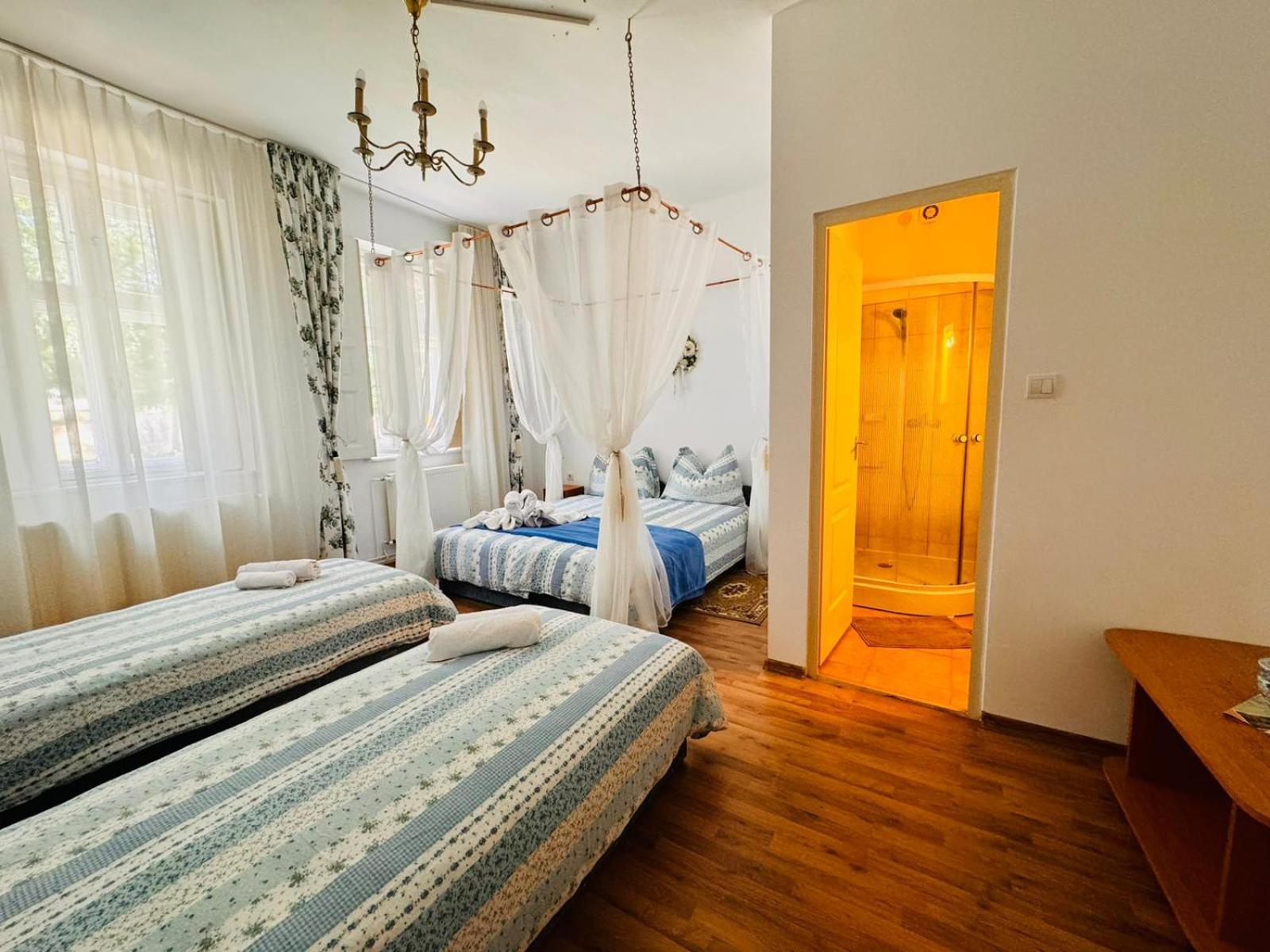 Pensiunea Schwartzy Hotel Makó Kültér fotó