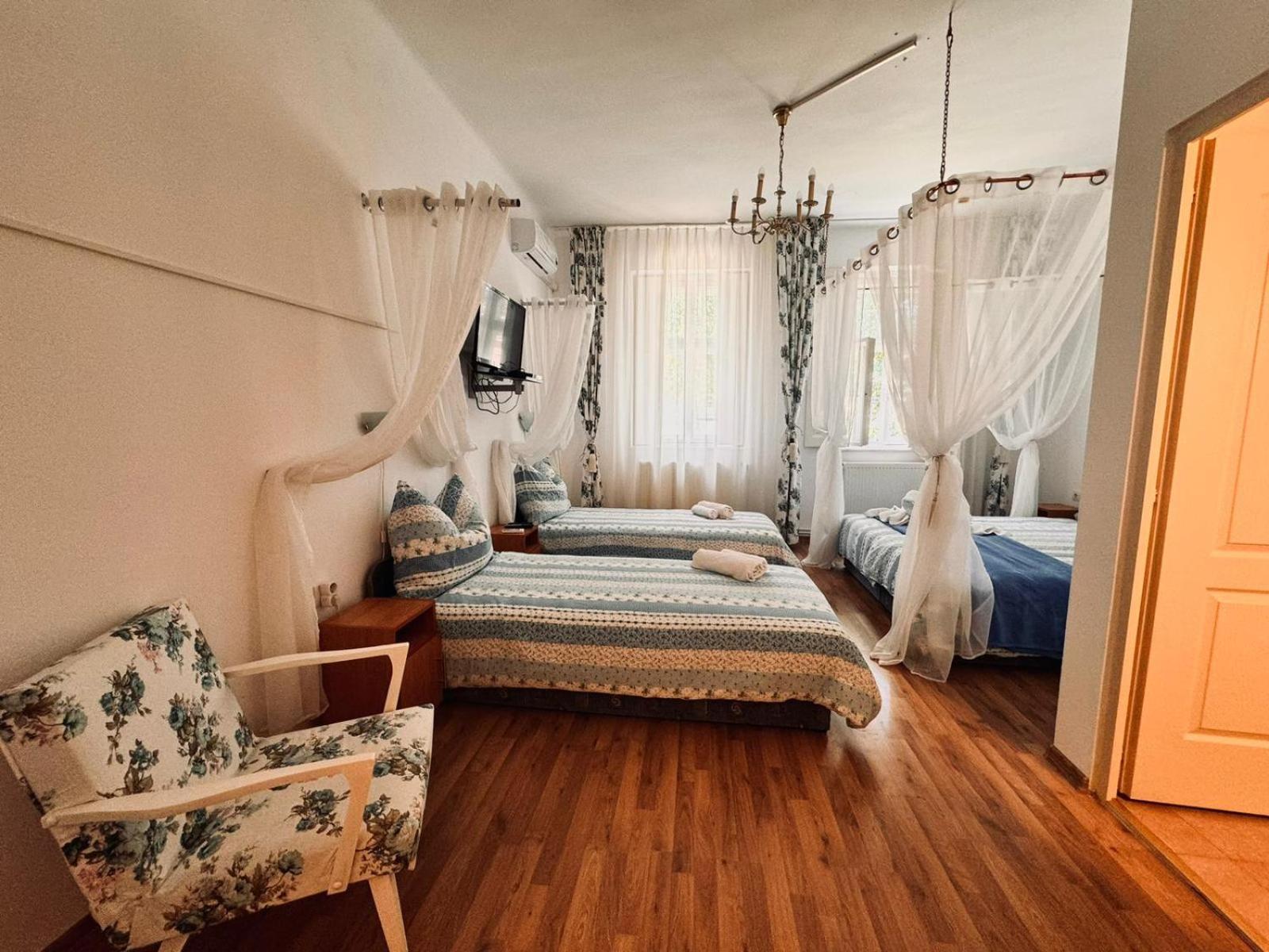 Pensiunea Schwartzy Hotel Makó Kültér fotó
