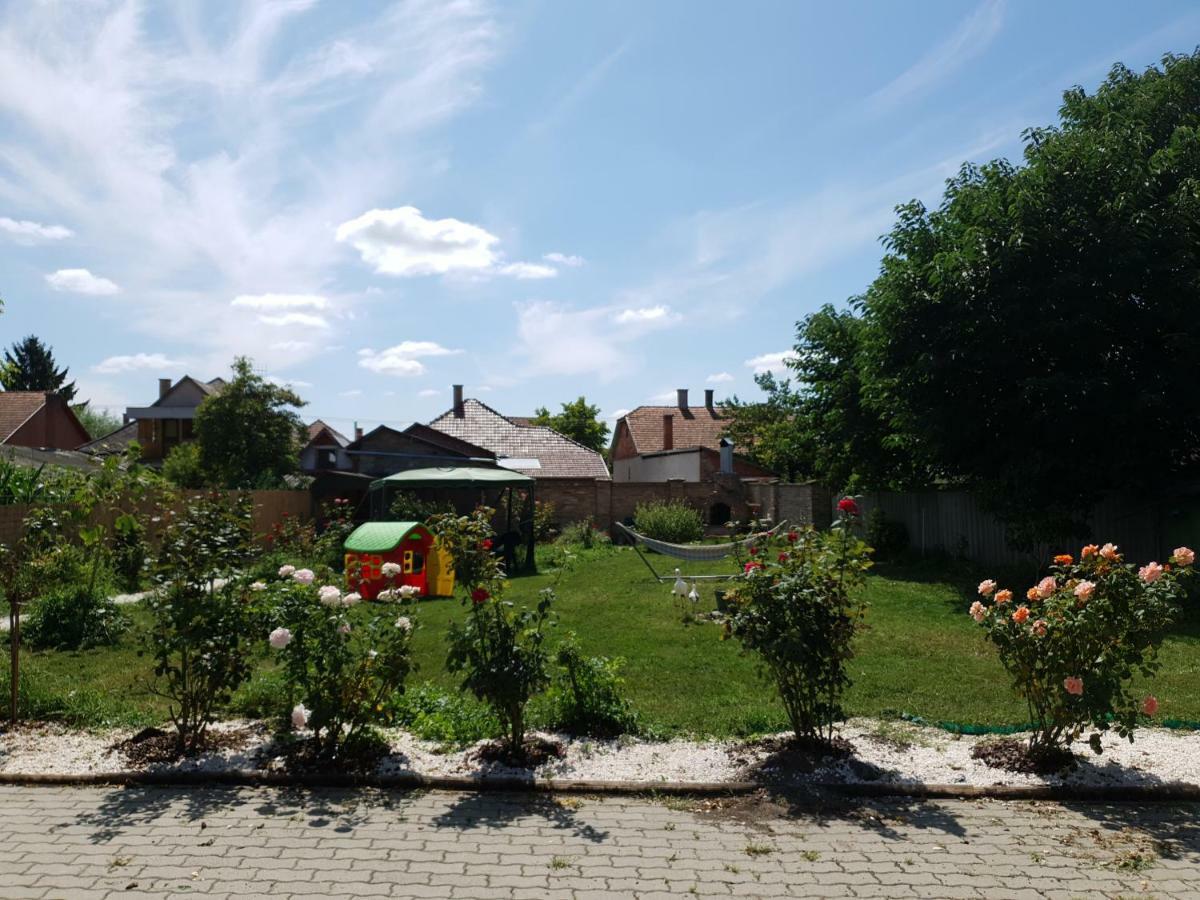 Pensiunea Schwartzy Hotel Makó Kültér fotó